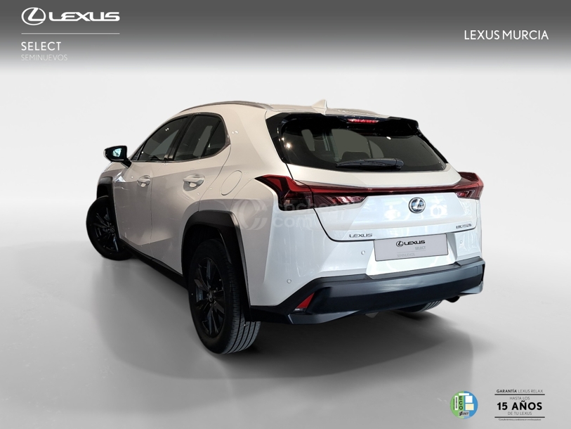 Foto del LEXUS UX 250h Business 4WD