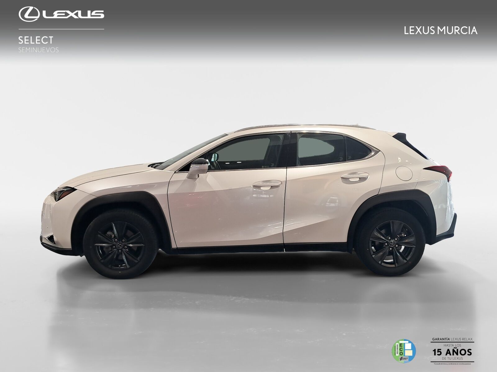 Foto del LEXUS UX 250h Business 4WD