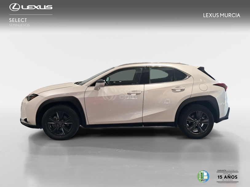 Foto del LEXUS UX 250h Business 4WD