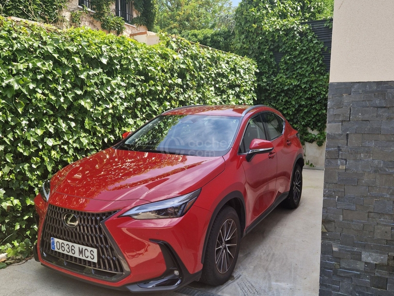 Foto del LEXUS NX 350h Business City 4WD