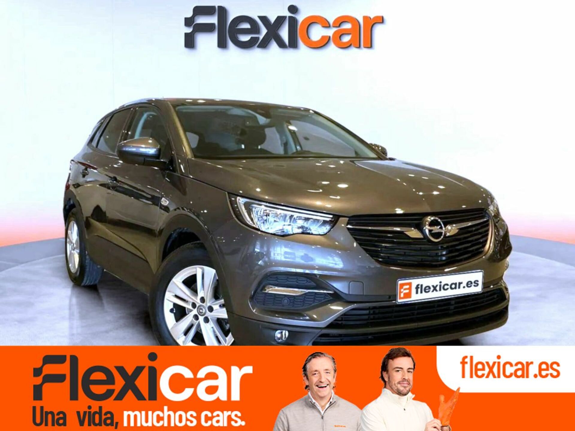 Imagen de OPEL Grandland X