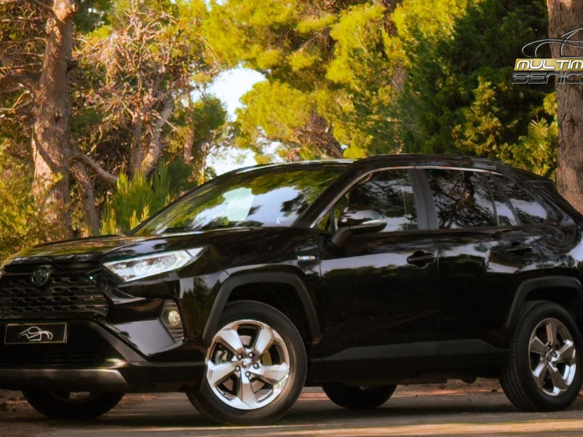 Imagen de TOYOTA RAV-4
