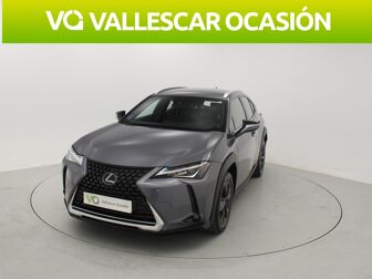 Imagen de LEXUS UX 250h Business 4WD