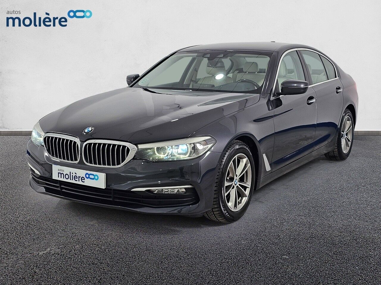 BMW Serie 5 (520dA Business) en Madrid