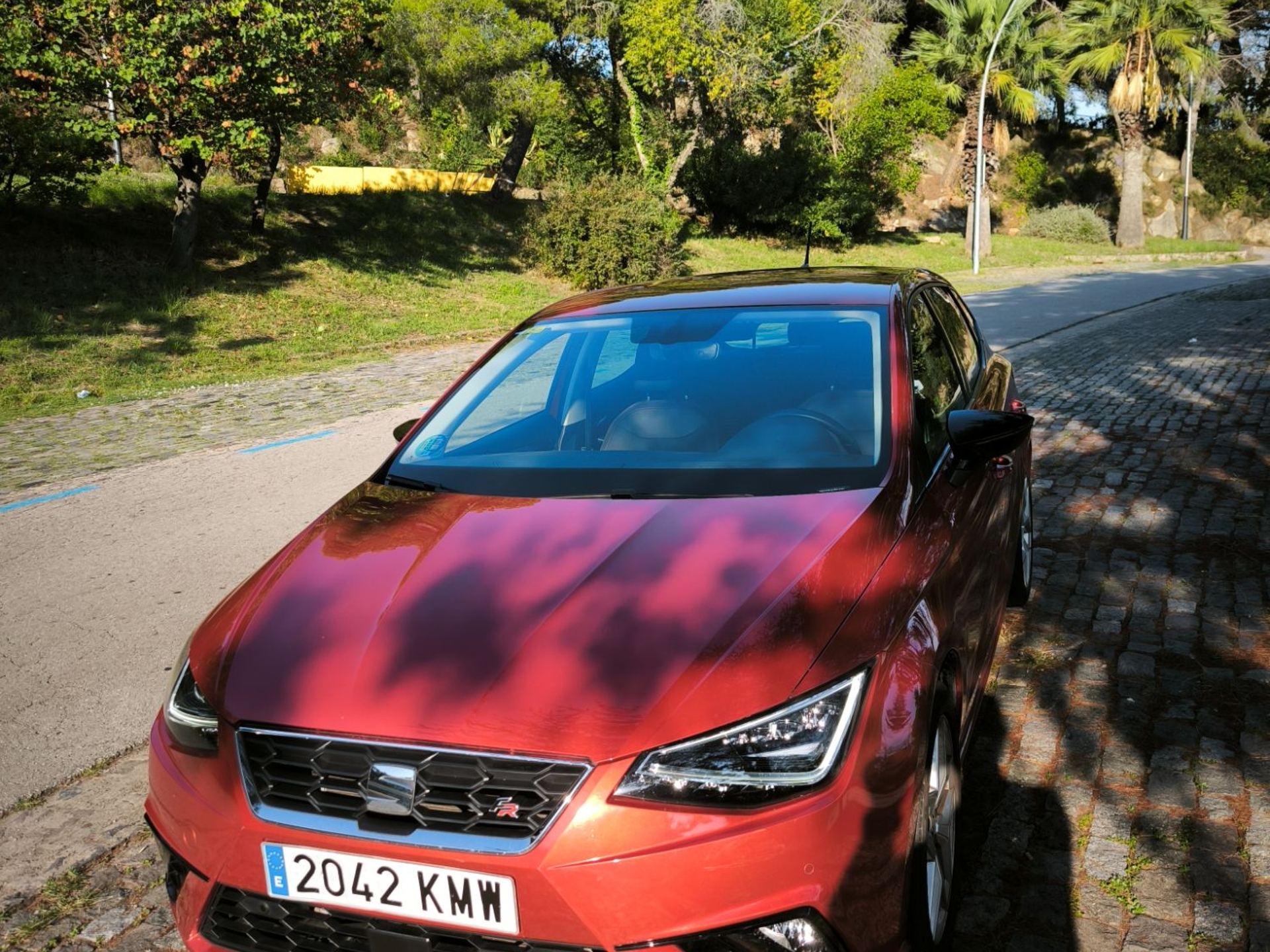 Imagen de SEAT Ibiza