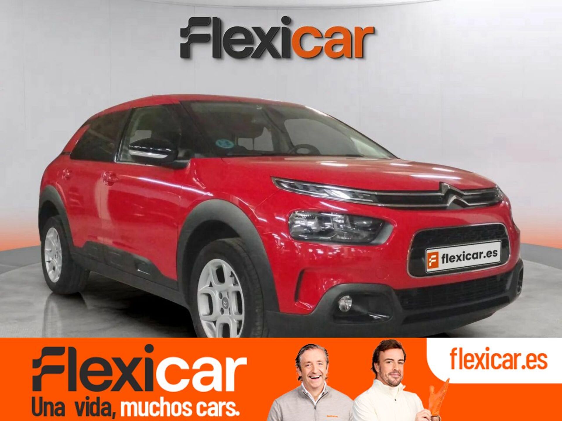 Imagen de CITROEN C4 Cactus