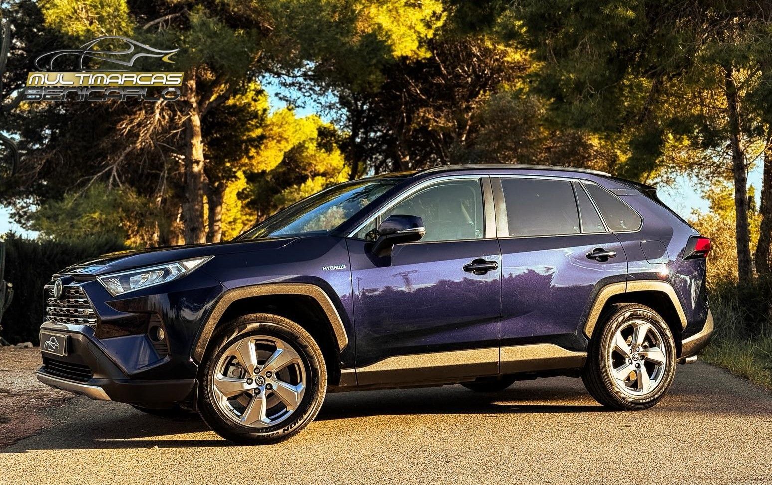TOYOTA RAV-4 (2.5 hybrid 4WD Advance Plus) en Castellón