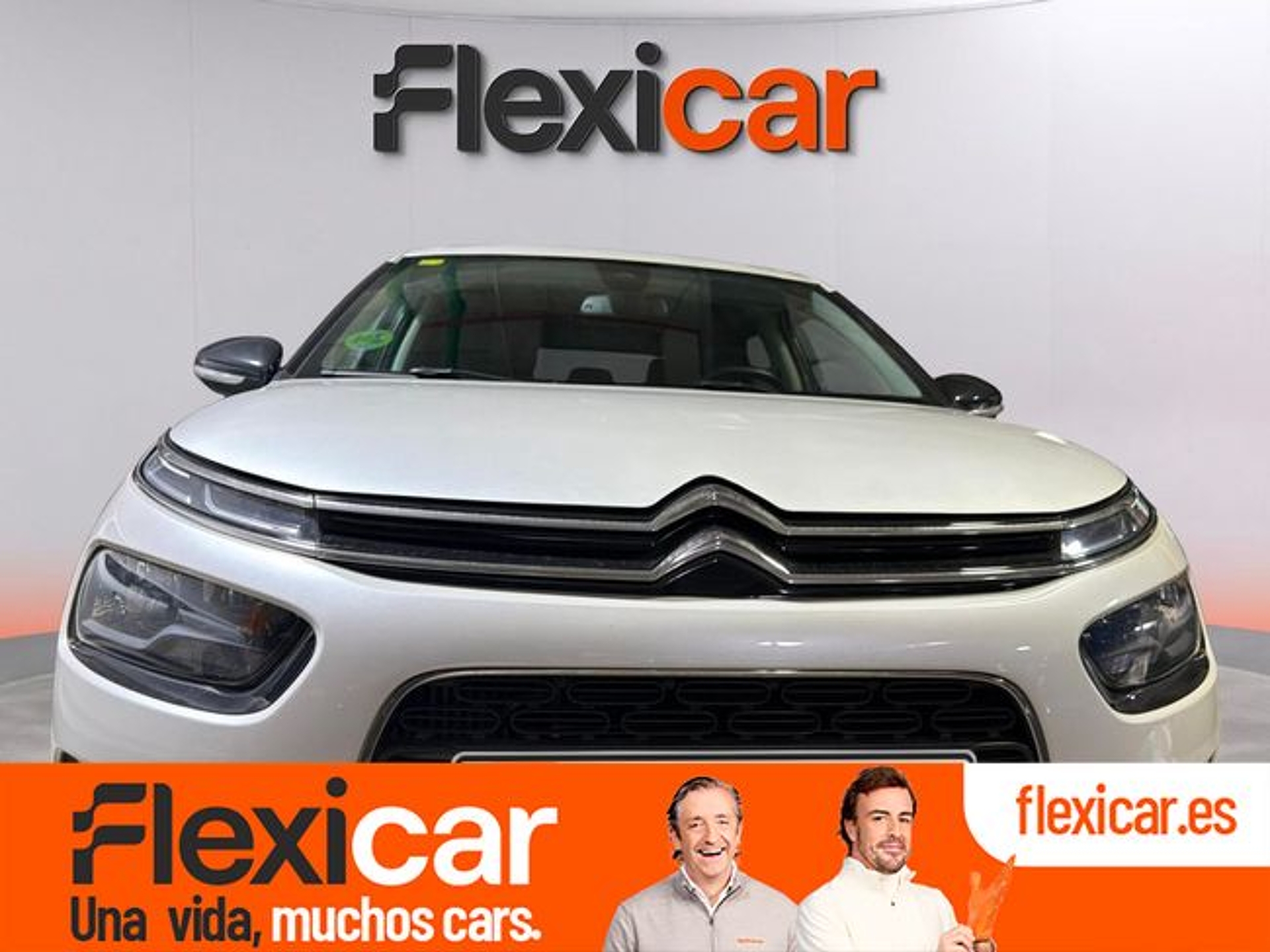 Imagen de CITROEN C4 Cactus