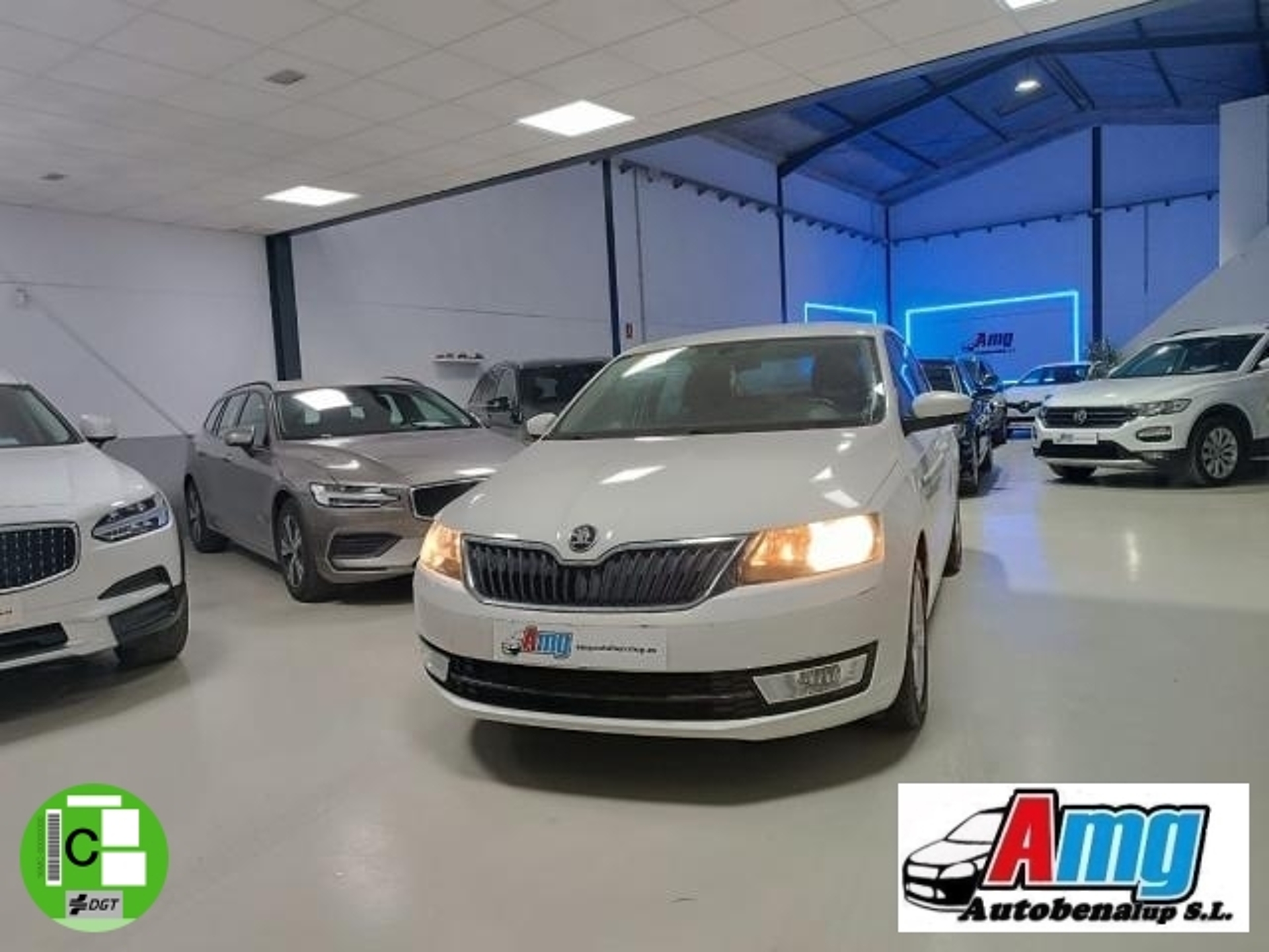 Imagen de SKODA Rapid