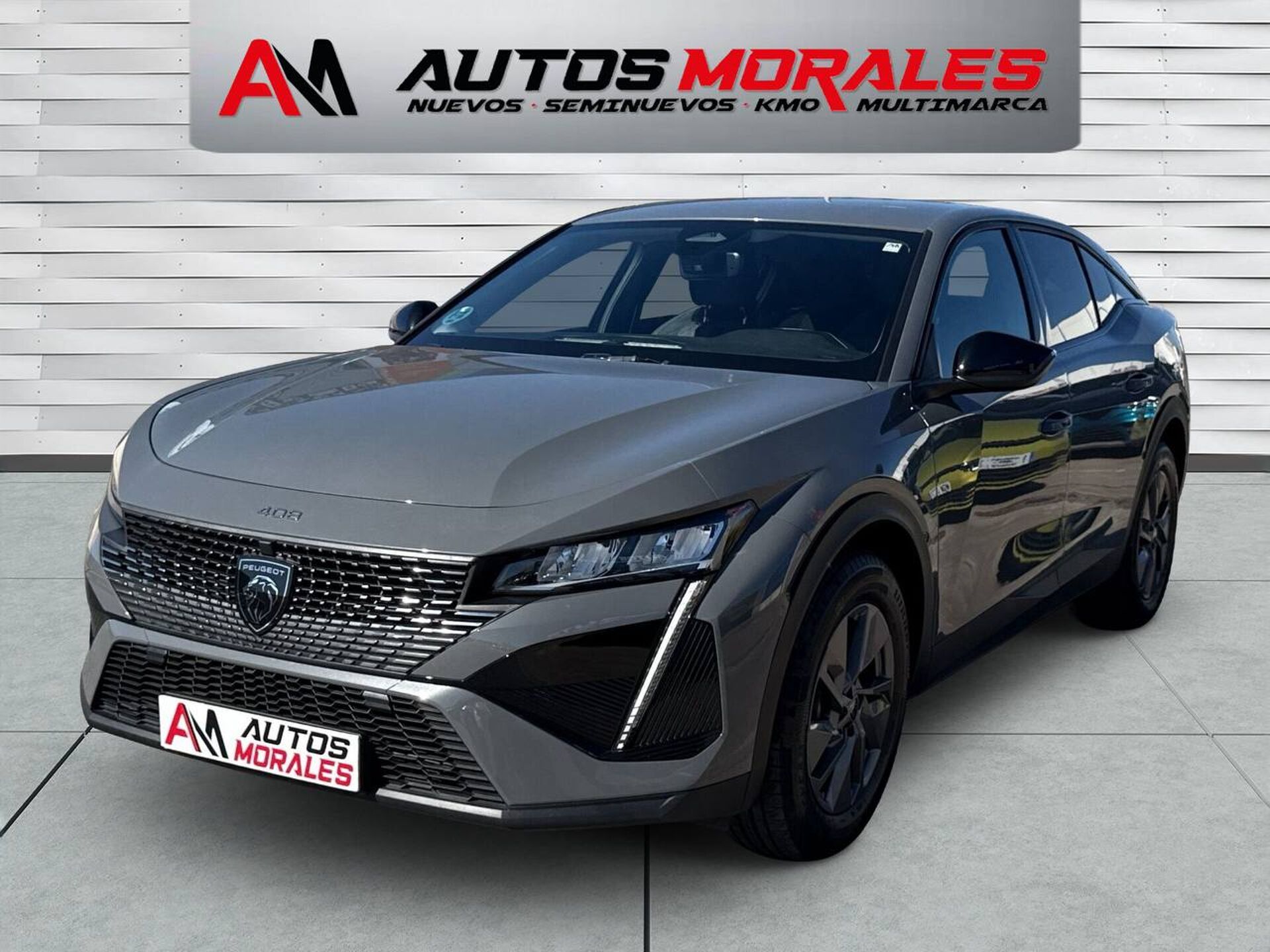 Imagen 3 de PEUGEOT 408