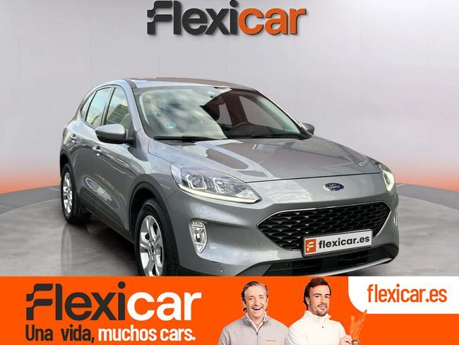 FORD Kuga (Trend 1.5 EcoBlue 88kW (120CV)) en Vizcaya