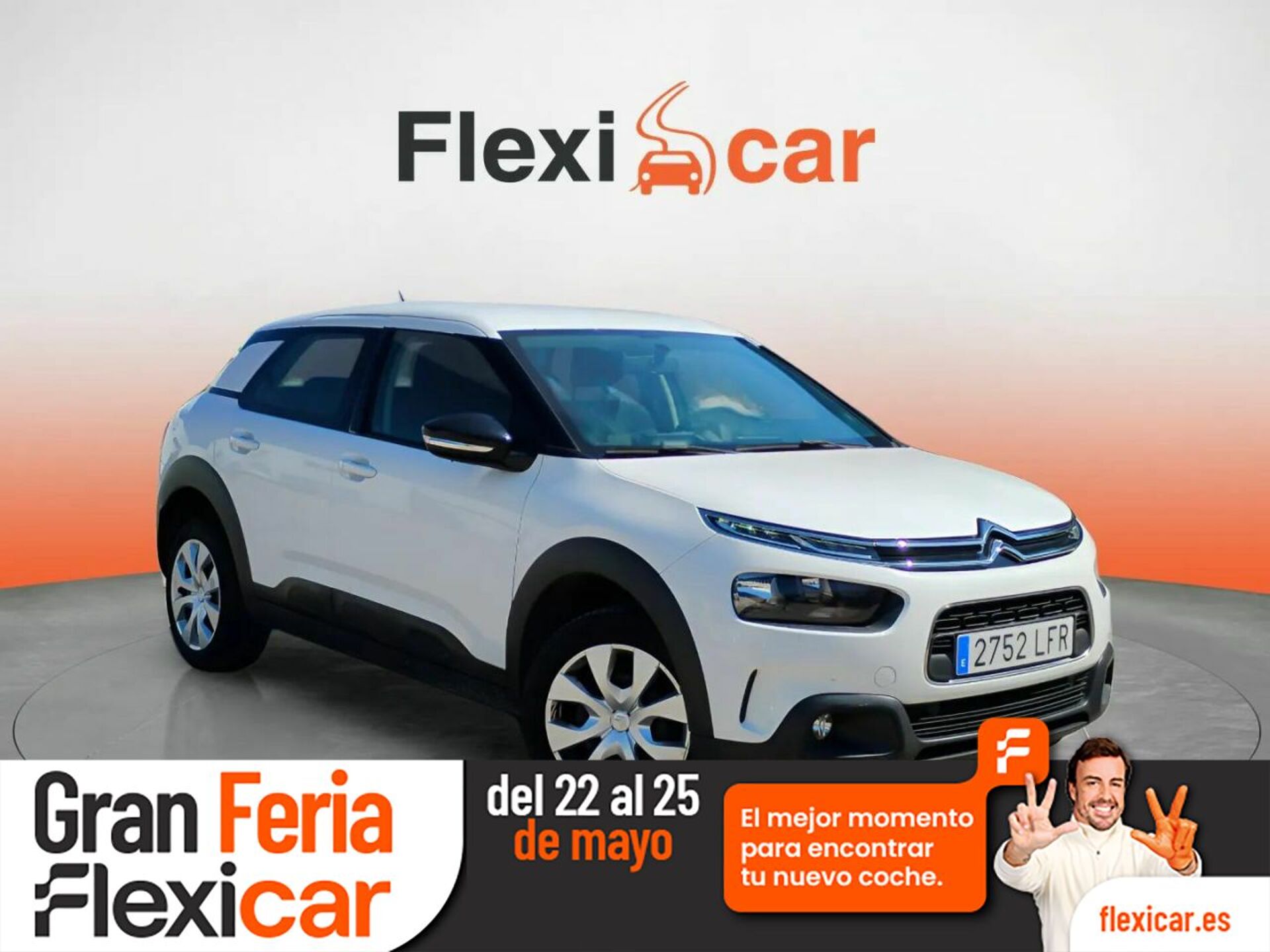 Imagen de CITROEN C4 Cactus