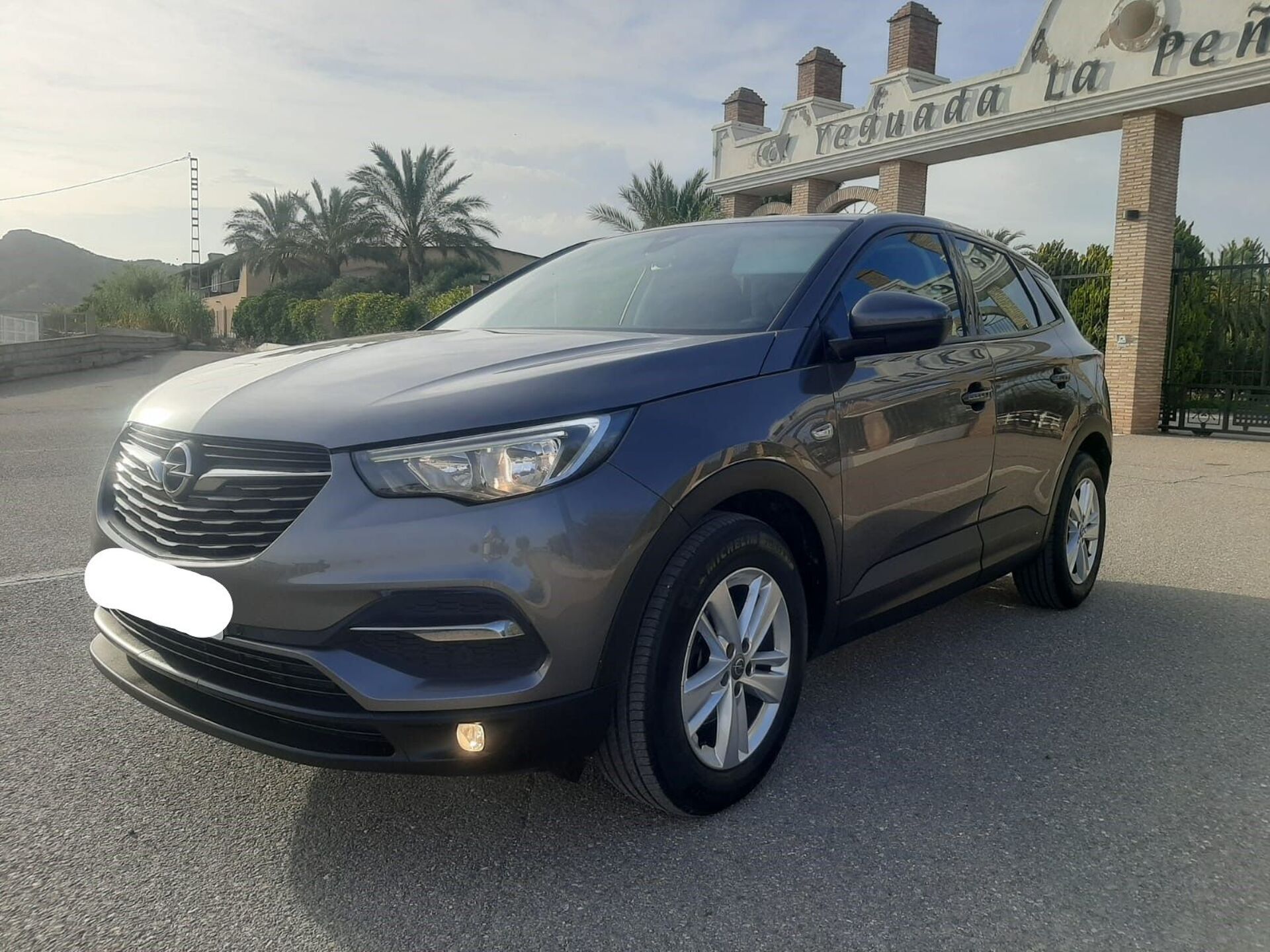 Imagen de OPEL Grandland X