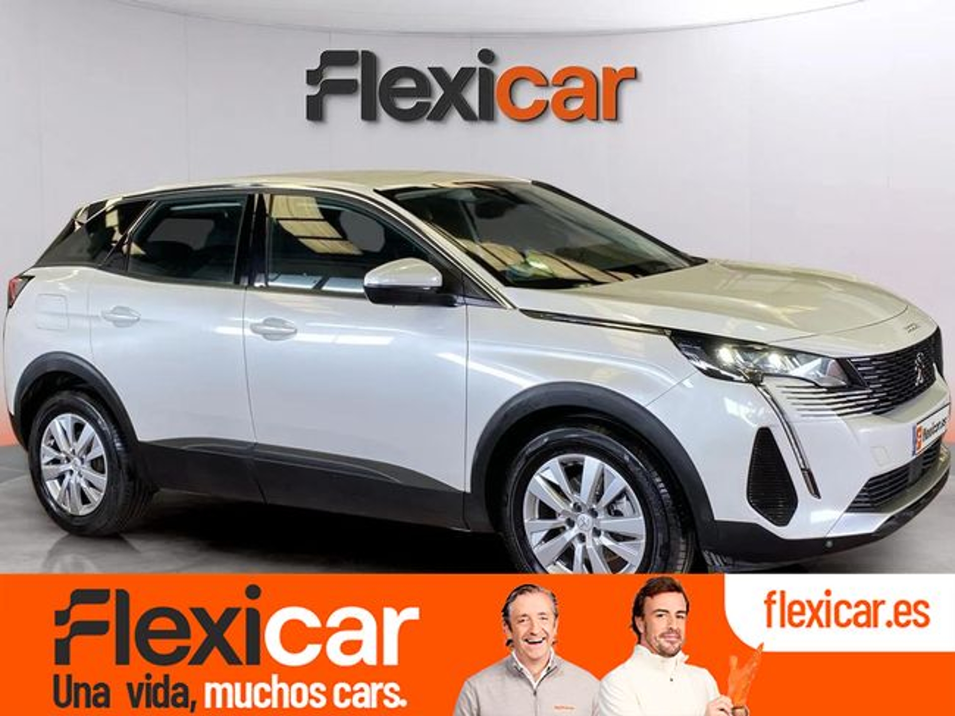 Imagen de PEUGEOT 3008