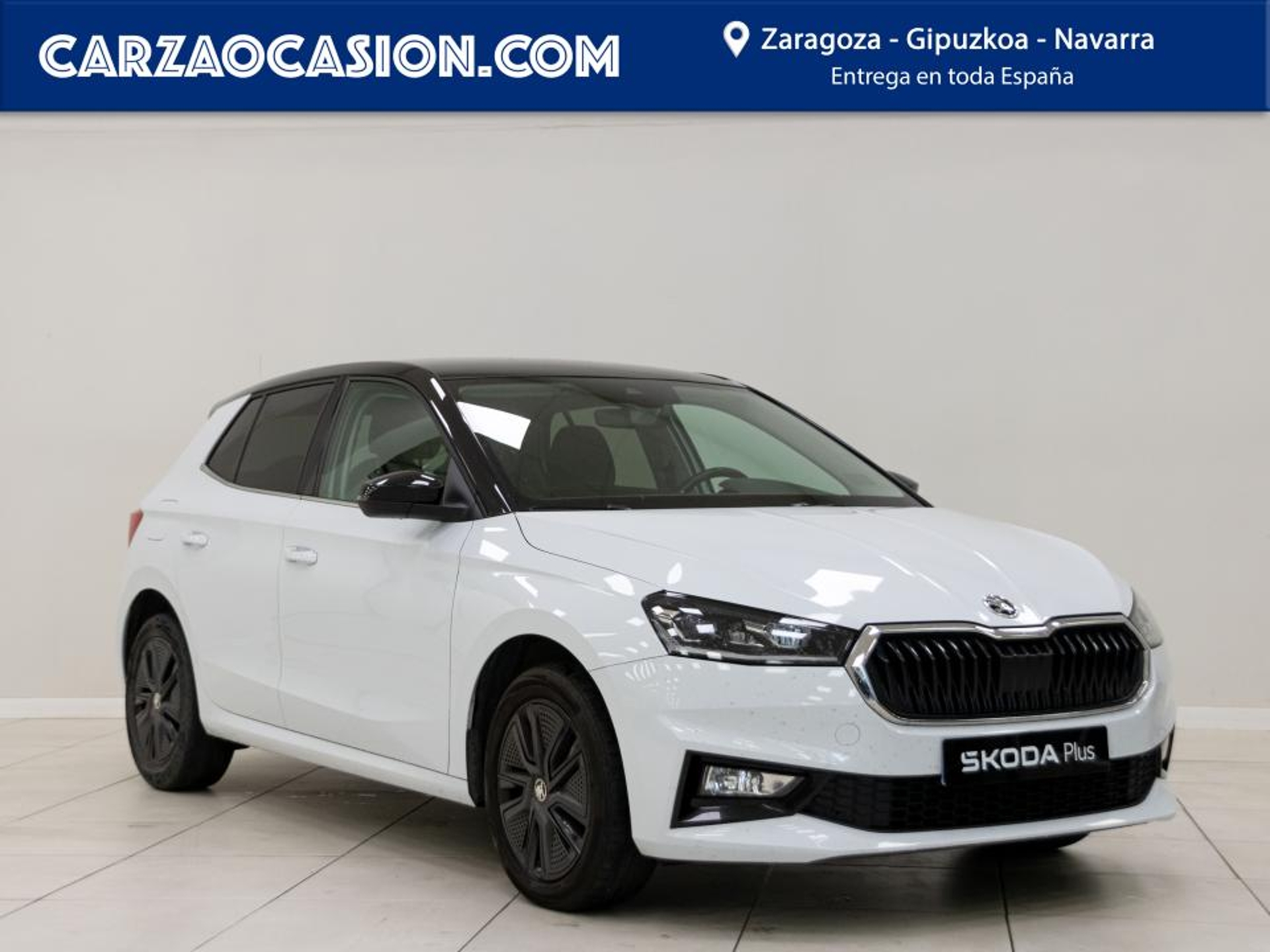 Imagen de SKODA Fabia