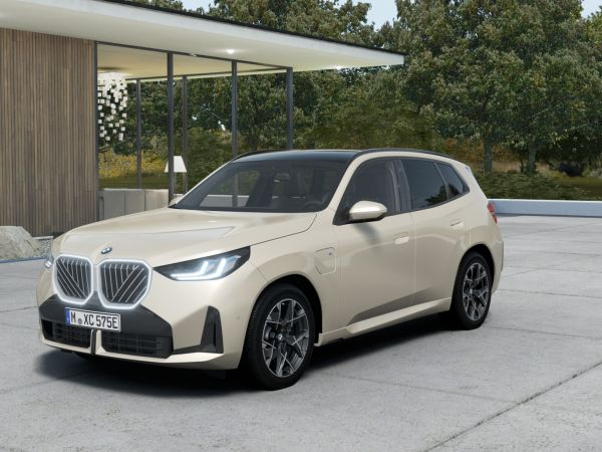 Imagen de BMW X3