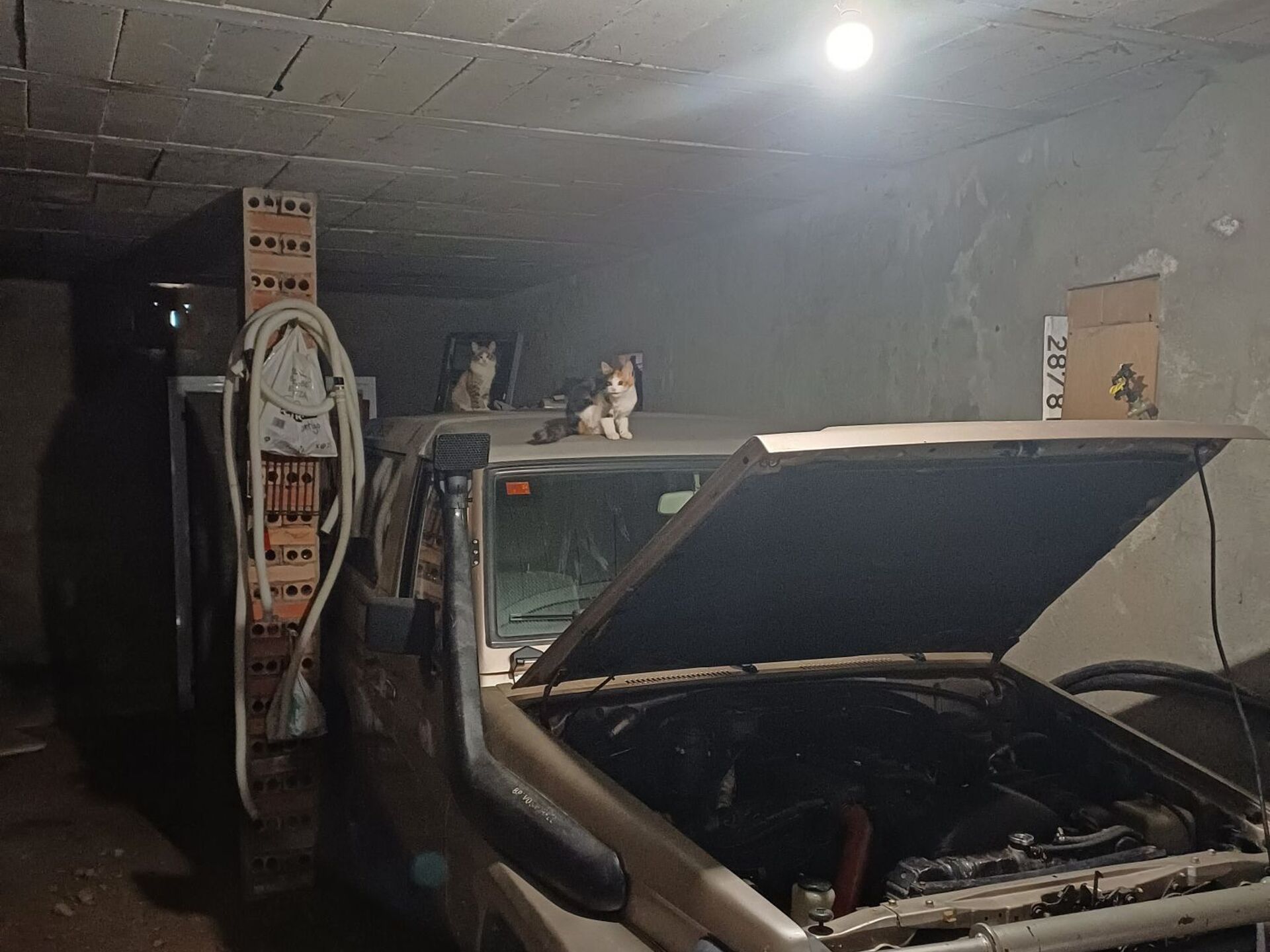 Imagen 3 de TOYOTA Land Cruiser