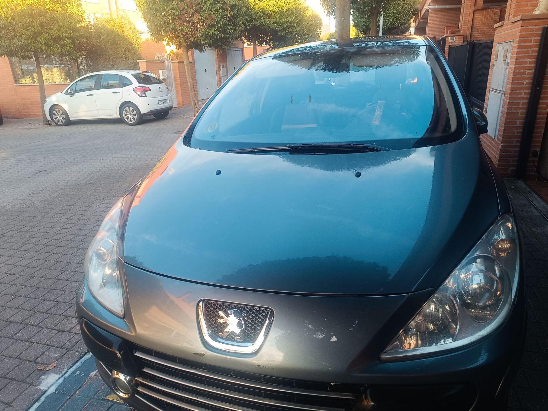 Imagen de PEUGEOT 307
