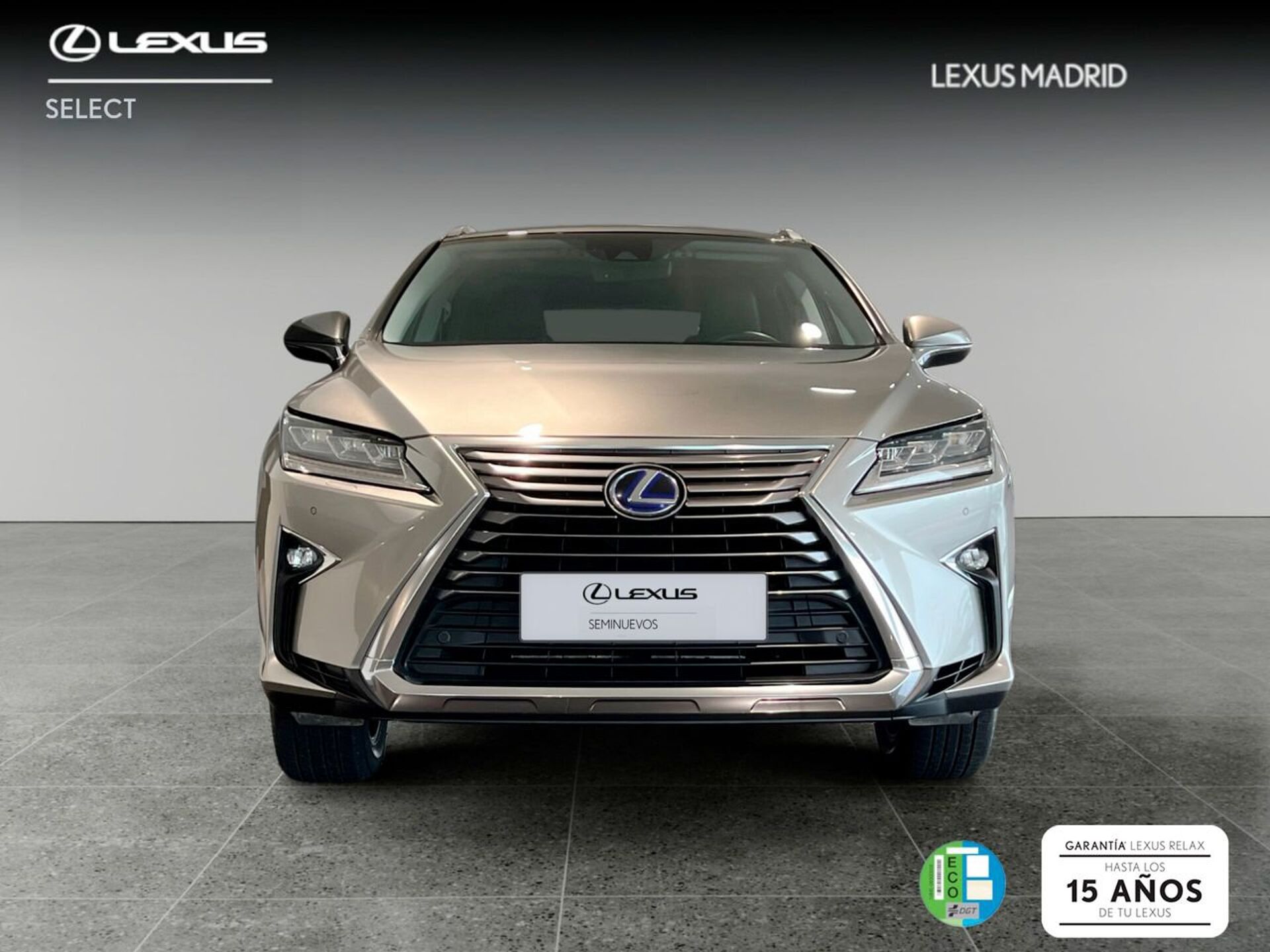 Imagen 2 de LEXUS RX