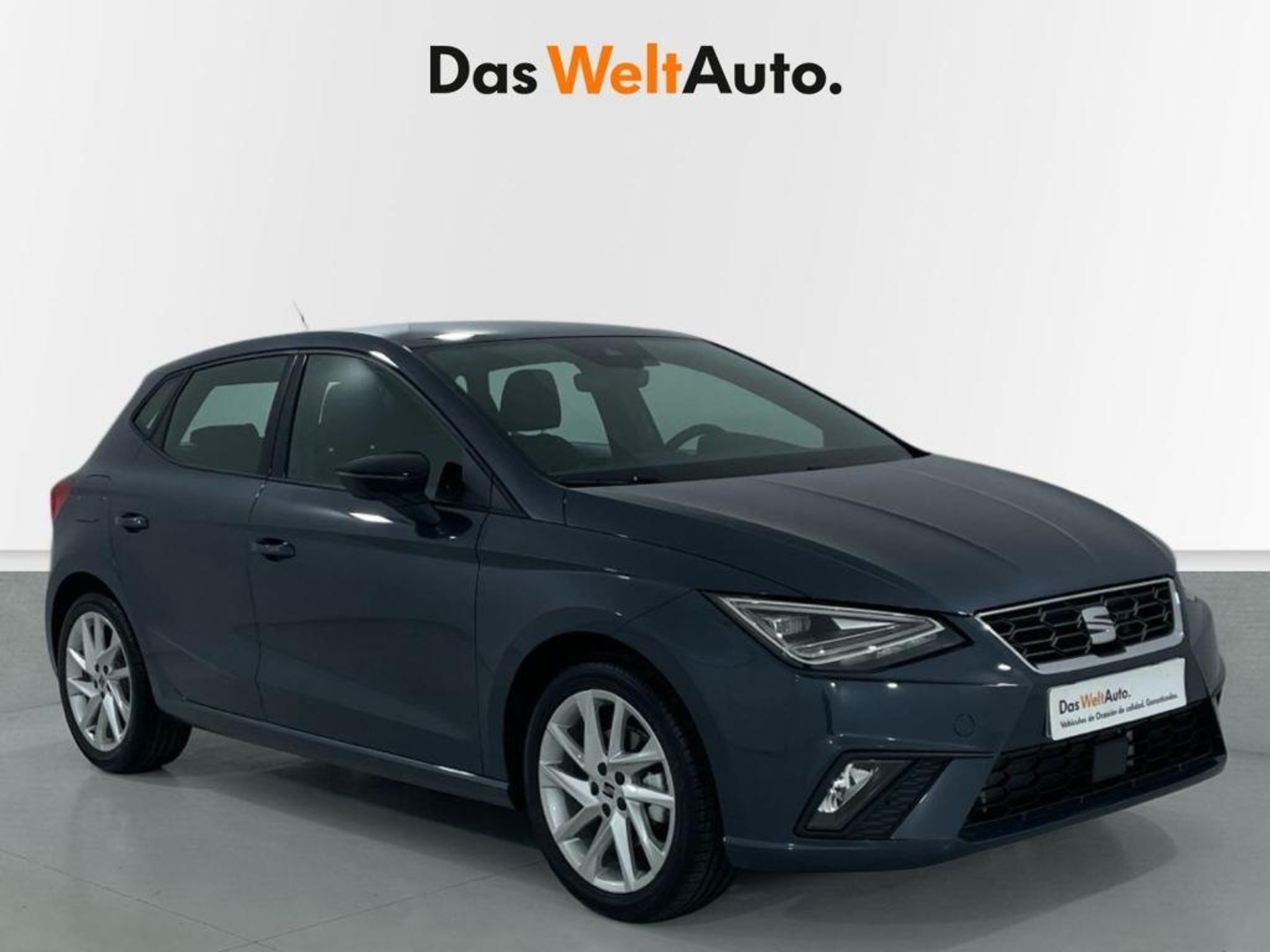 Imagen de SEAT Ibiza