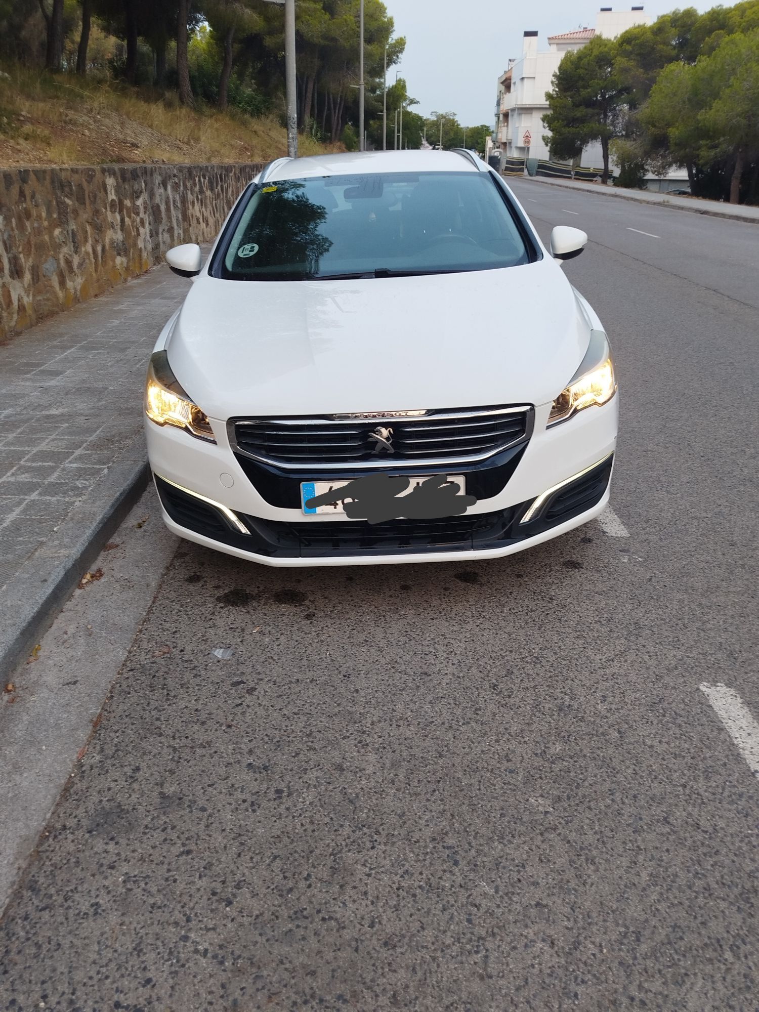 Foto del PEUGEOT 508 SW 1.6e-HDI Active 115
