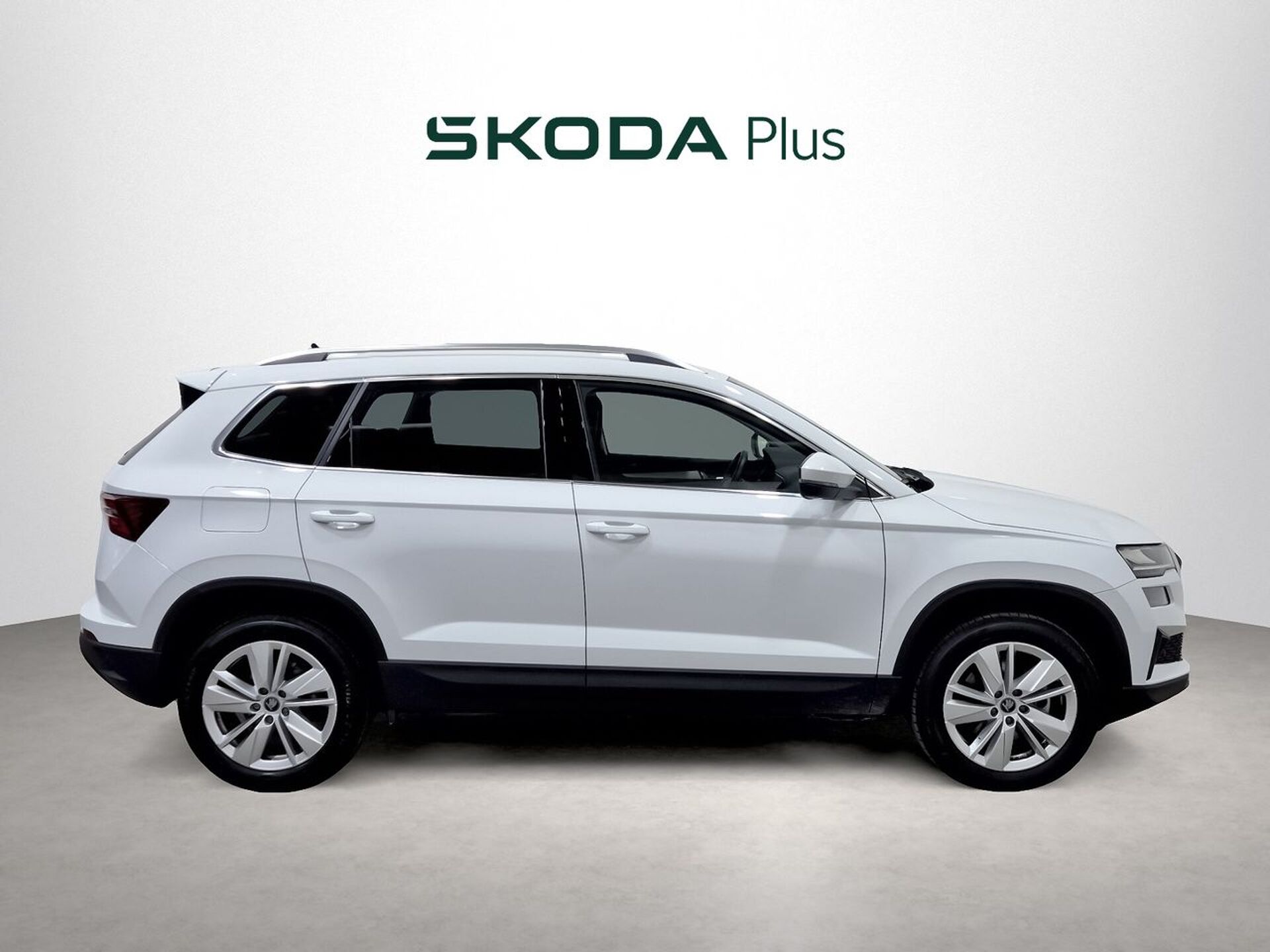 Imagen 3 de SKODA Karoq