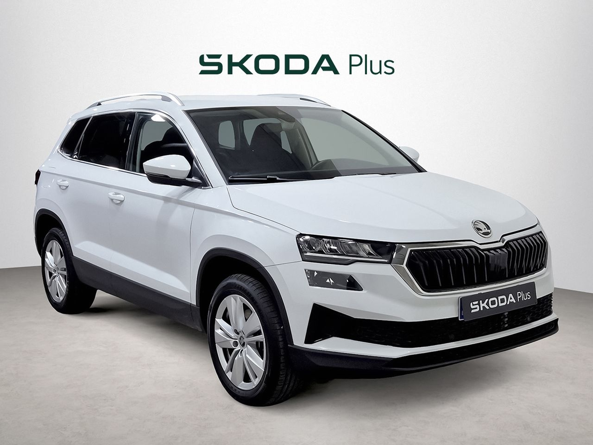 Imagen de SKODA Karoq