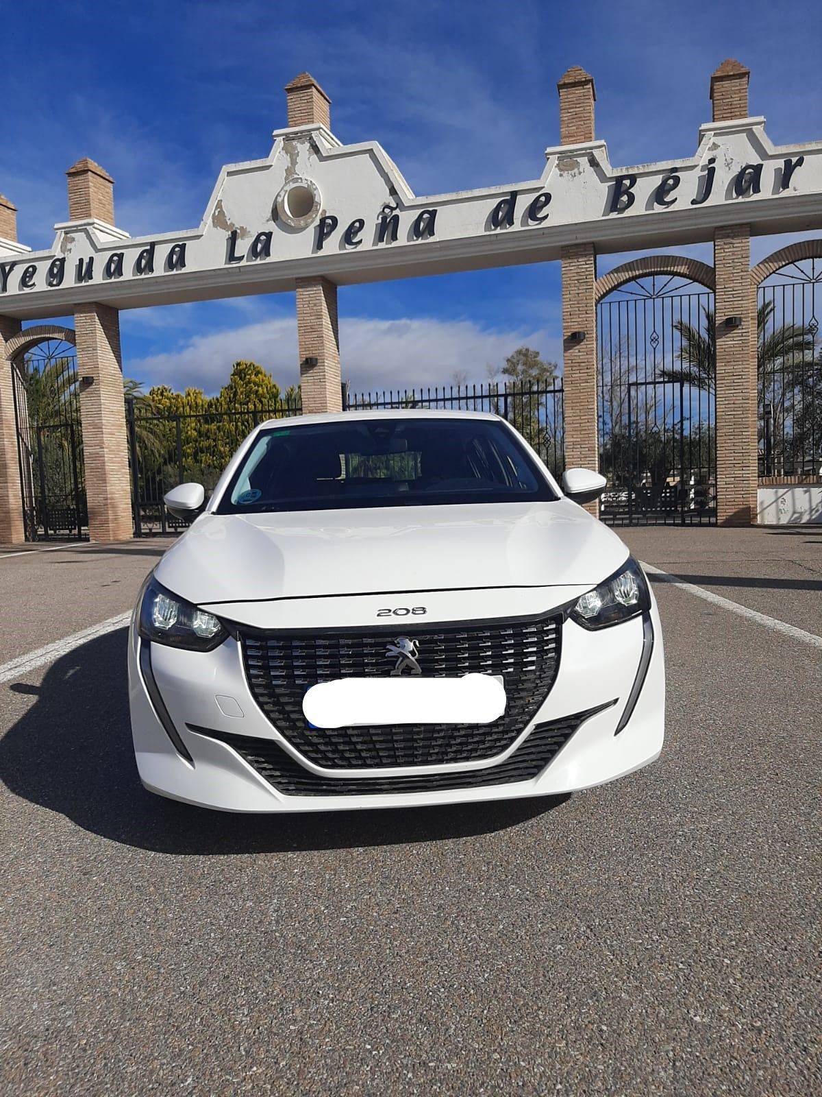 Foto del PEUGEOT 208 1.5 BlueHDi S&S Active 100