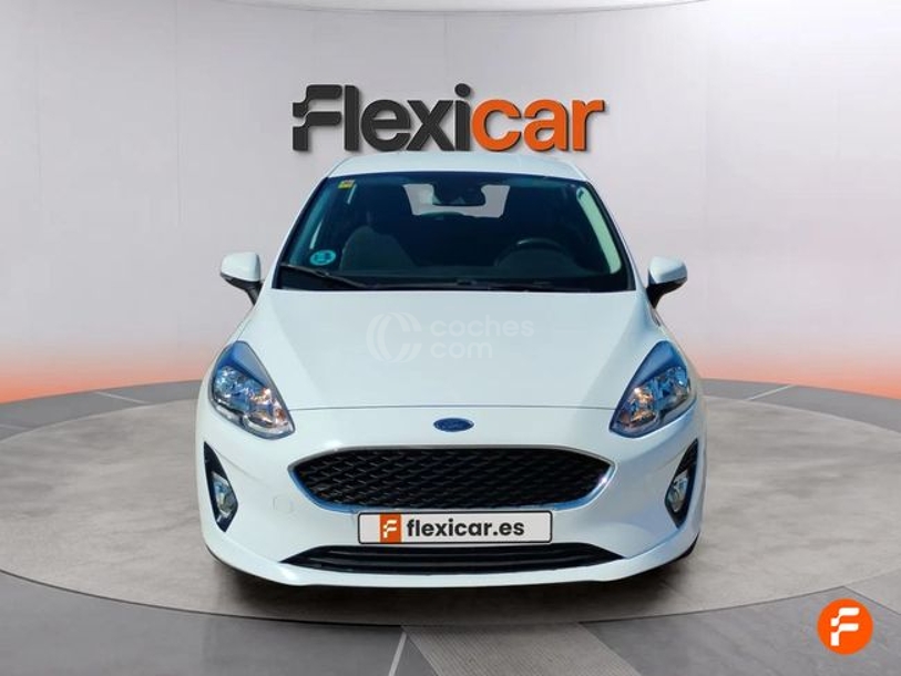 Foto del FORD Fiesta 1.0 EcoBoost S-S Trend+ 100