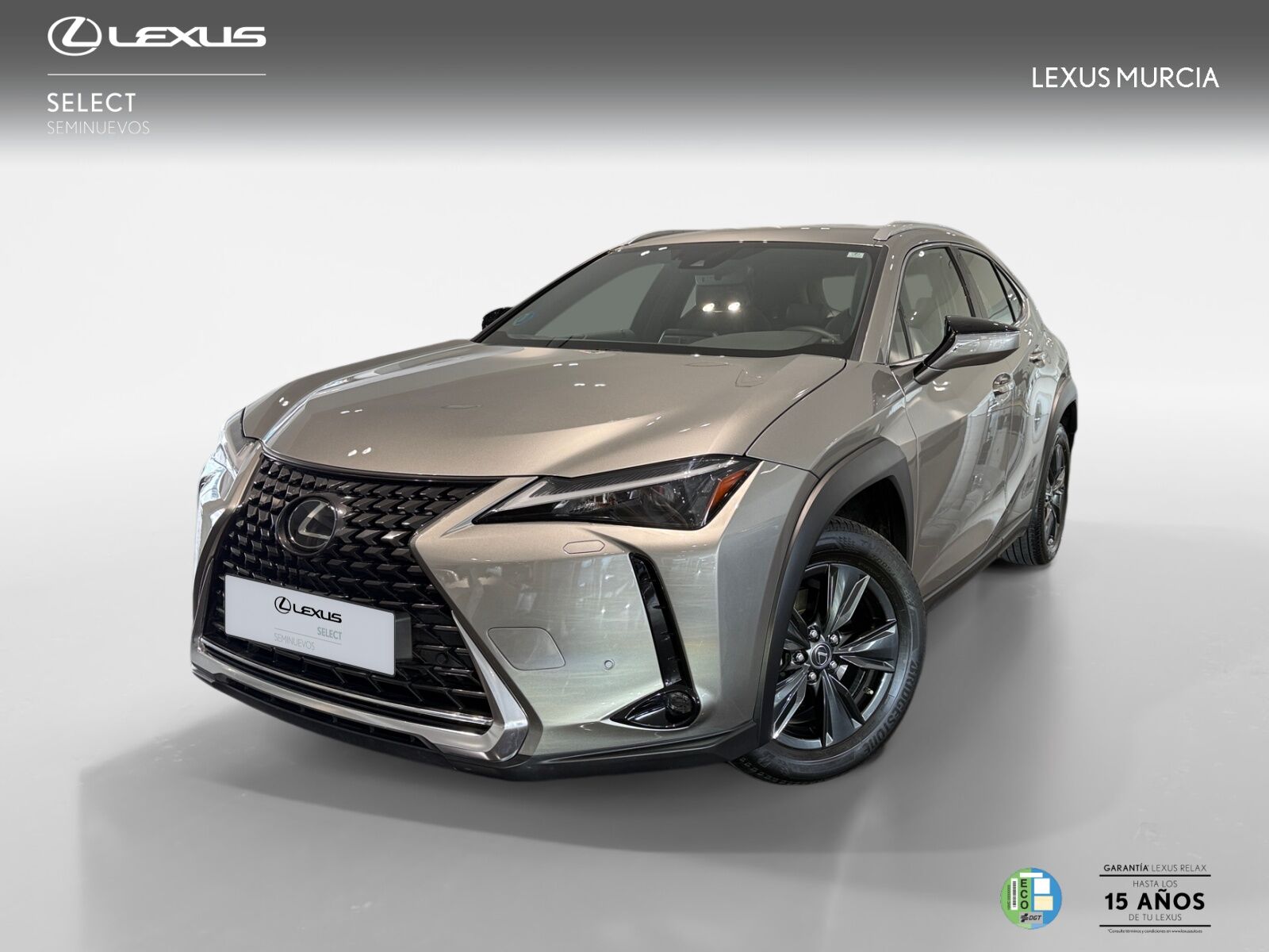 LEXUS UX (UX 250h 2WD BUSINESS) en Murcia