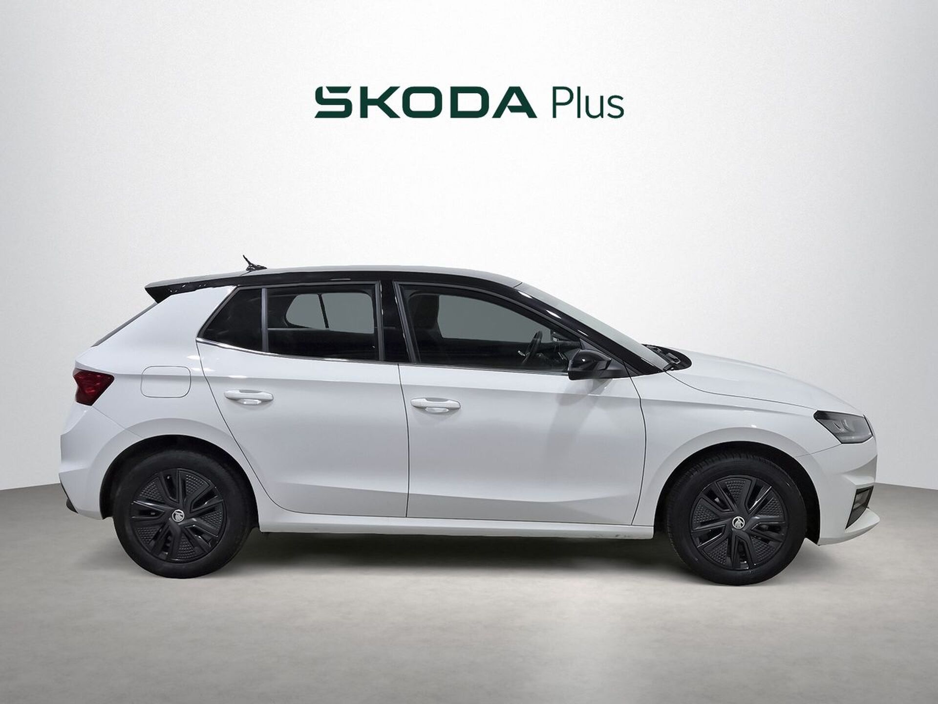 Imagen 3 de SKODA Fabia
