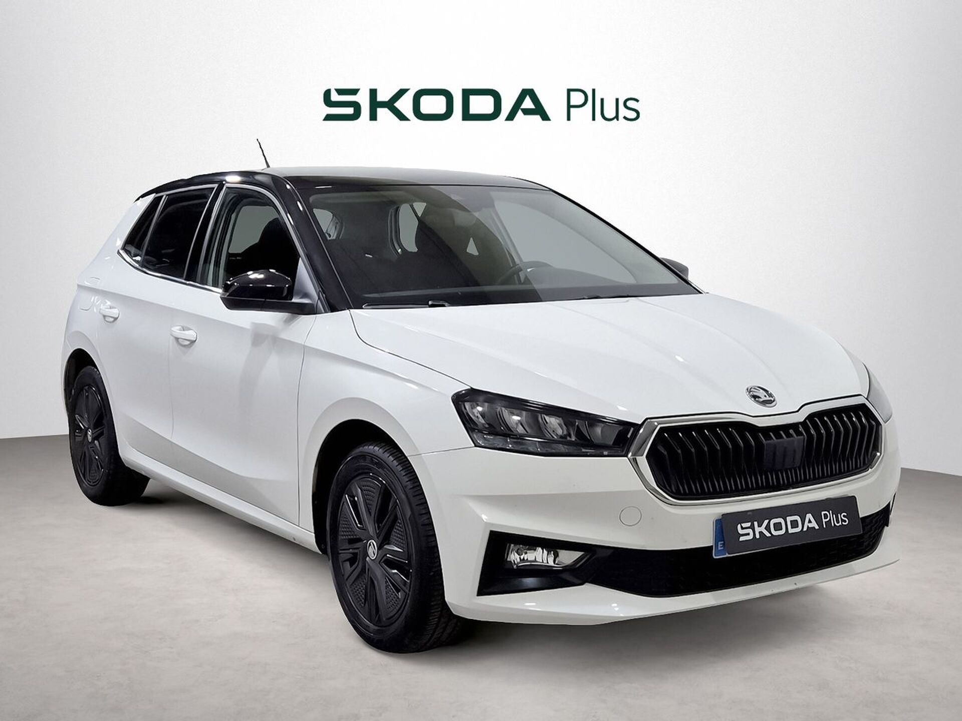 Imagen 1 de SKODA Fabia