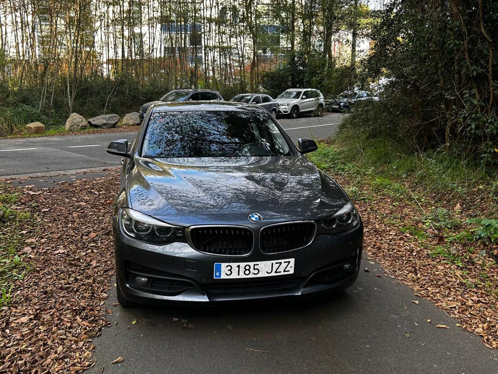 Imagen 2 de BMW Serie 3