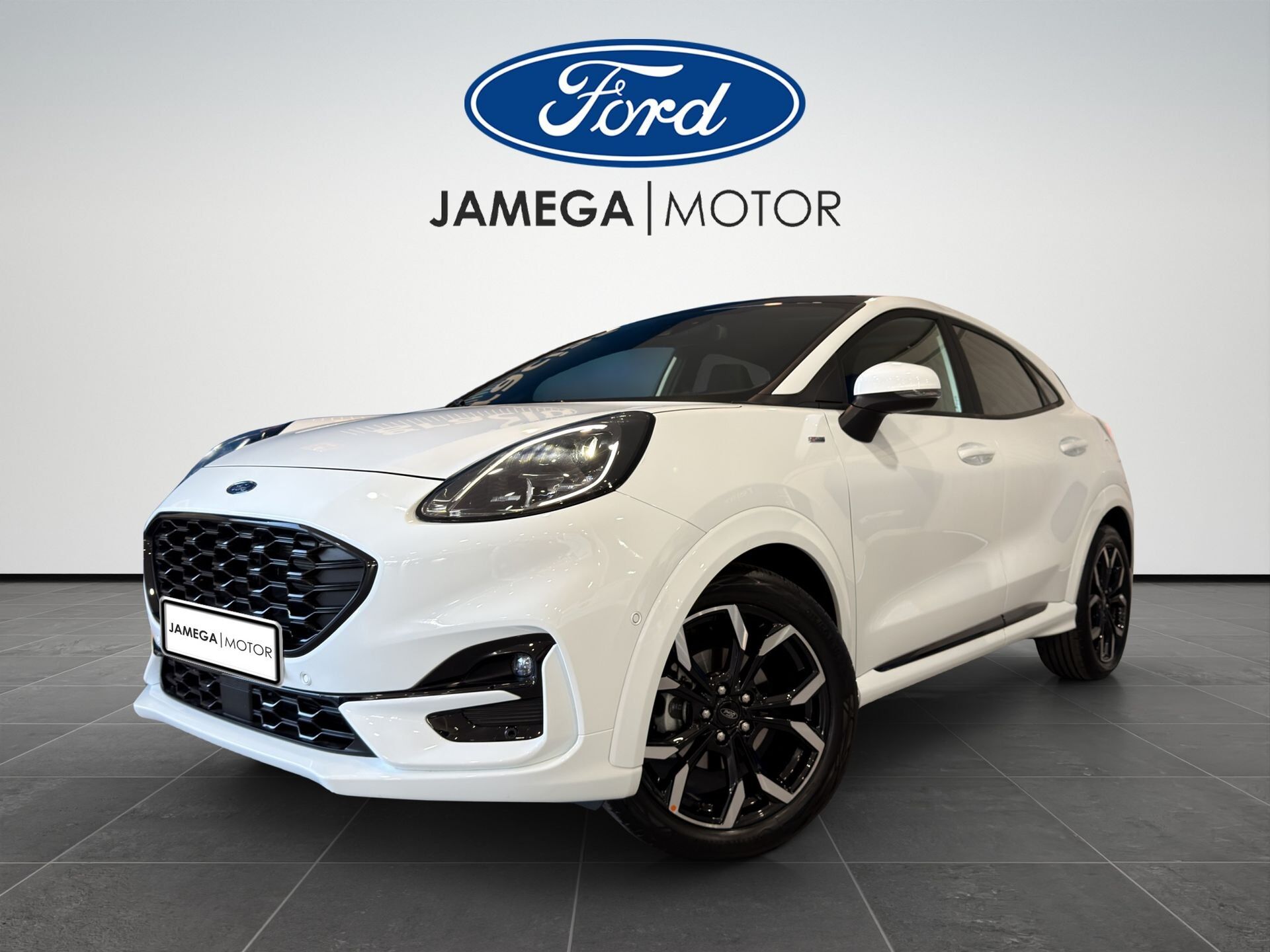 Imagen 2 de FORD Puma