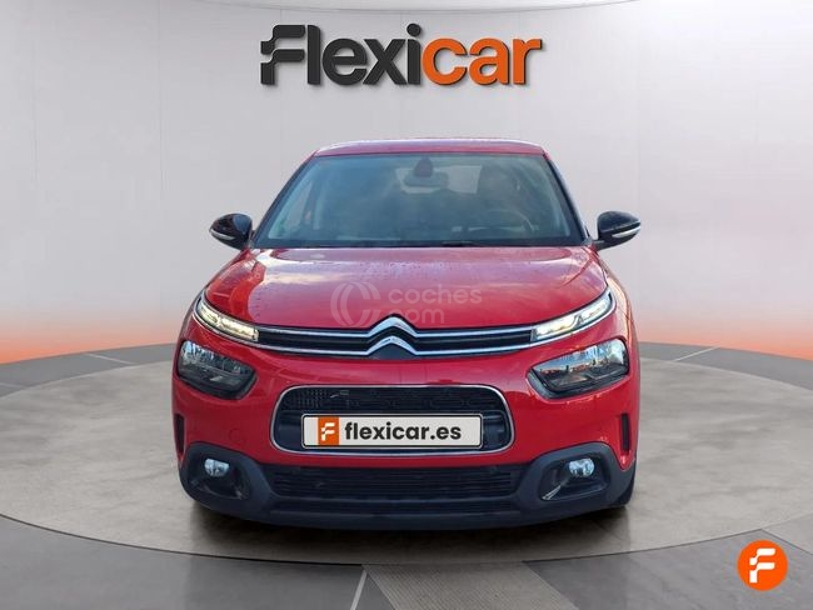 Foto del CITROEN C4 Cactus 1.6BlueHDi S&S Feel 100
