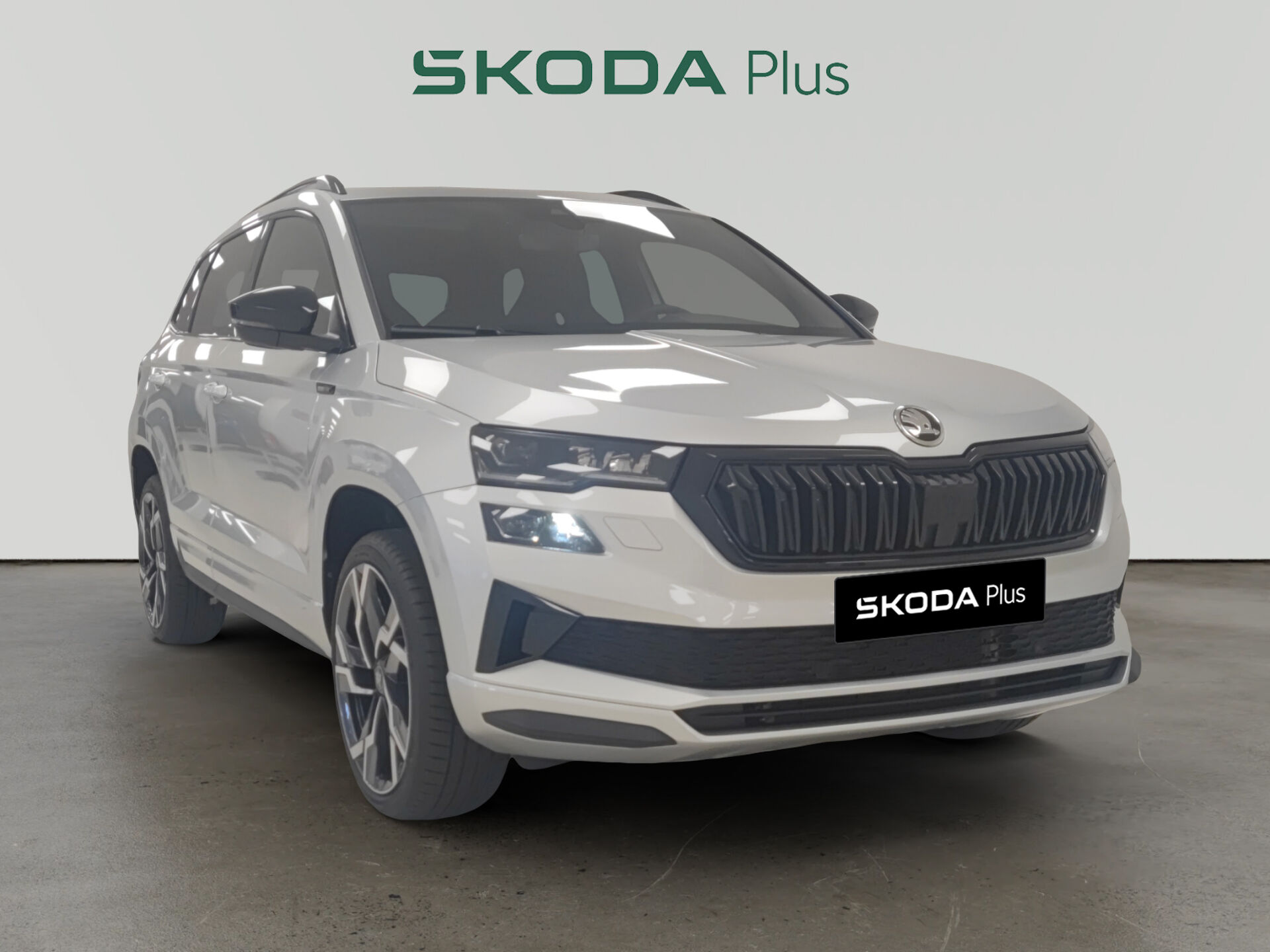 Imagen de SKODA Karoq