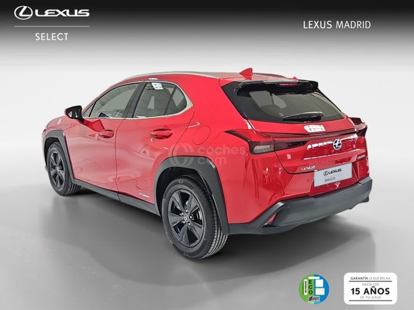 Foto del LEXUS UX 250h Business 4WD