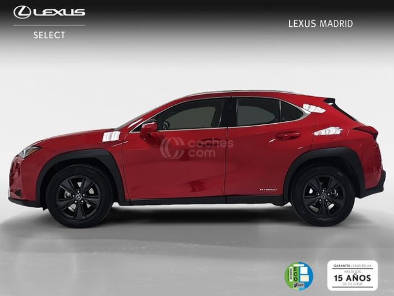Foto del LEXUS UX 250h Business 4WD