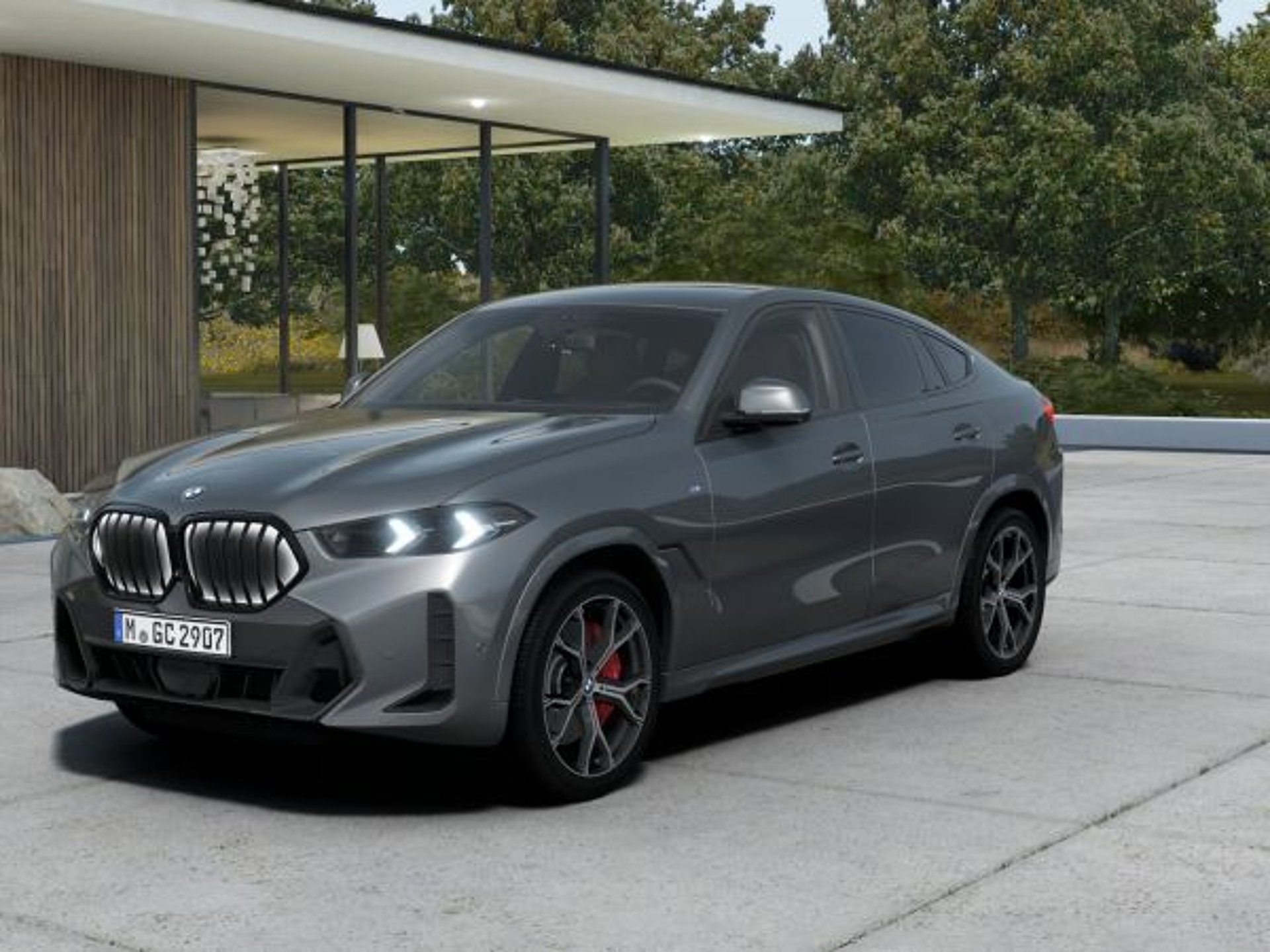 Imagen de BMW X6