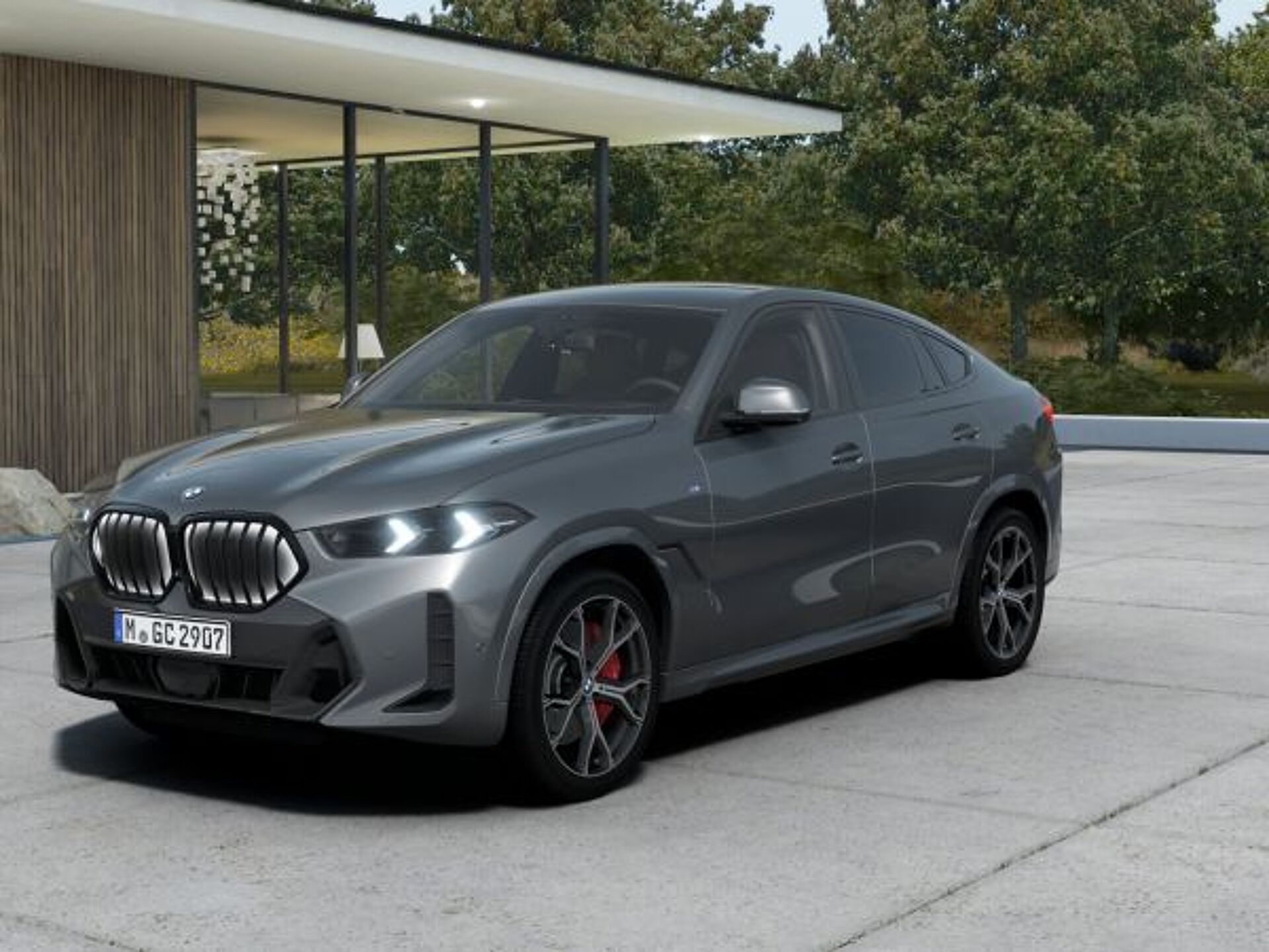 Imagen 1 de BMW X6