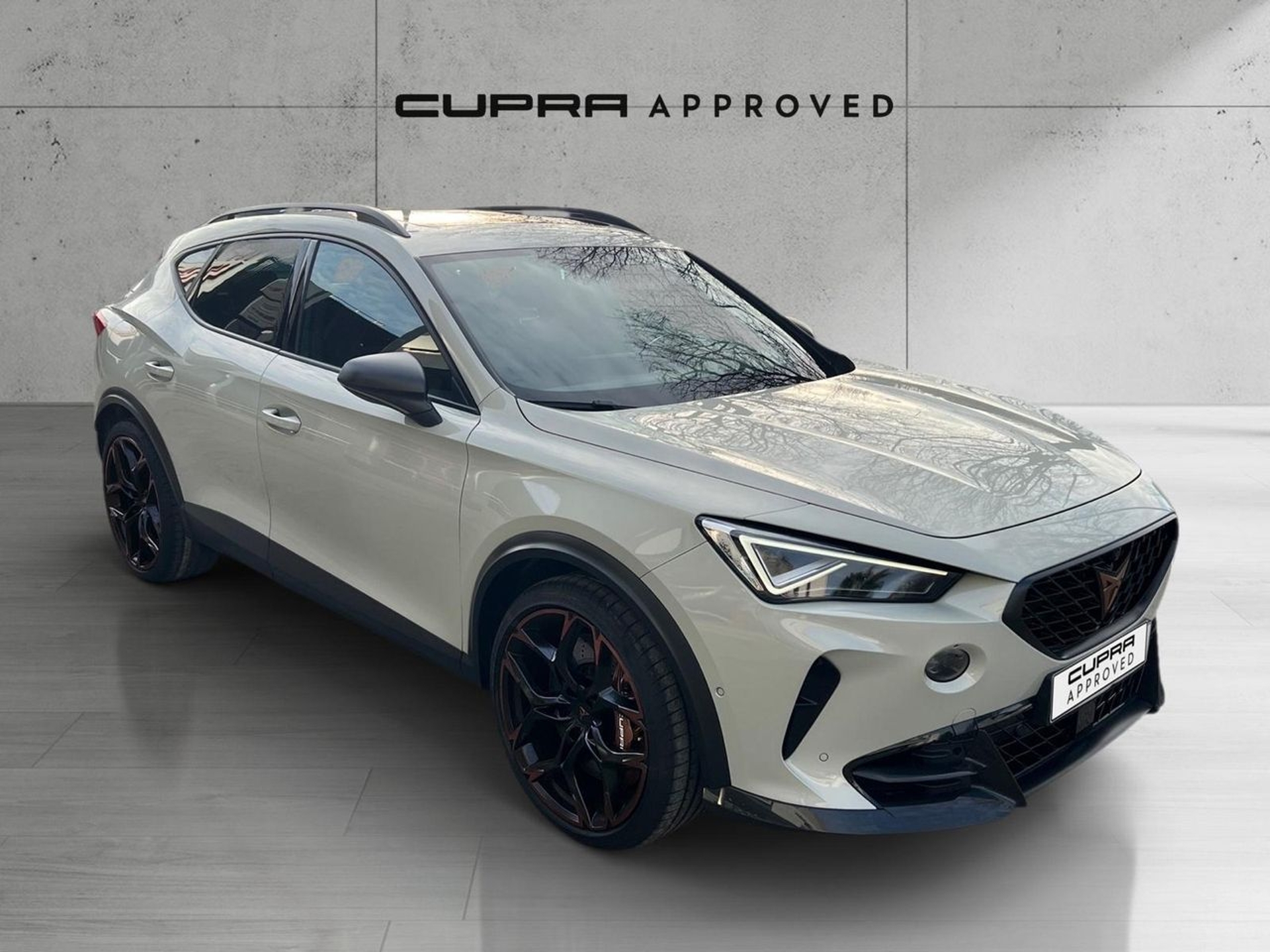 Imagen de CUPRA Formentor