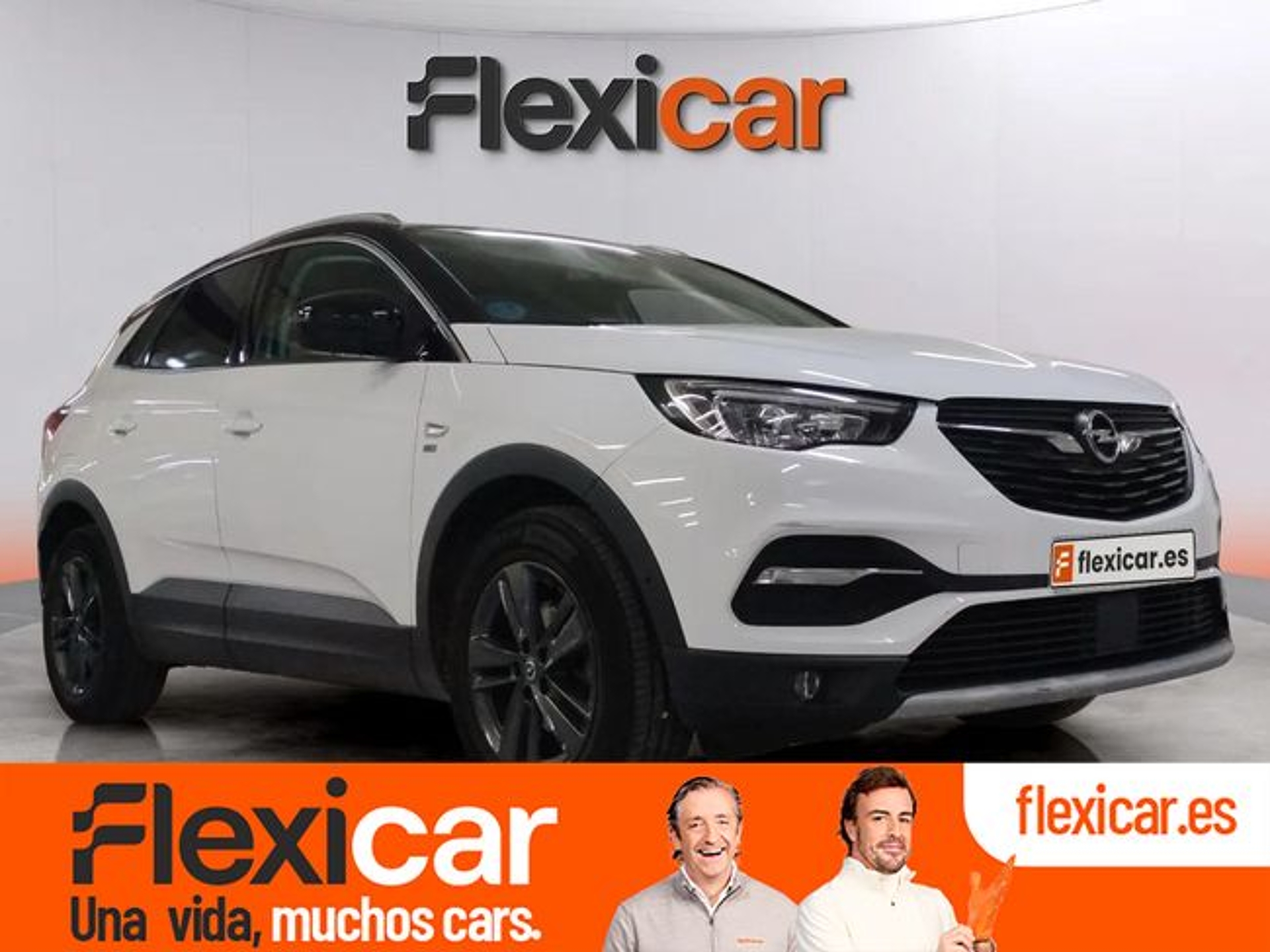 Imagen de OPEL Grandland X