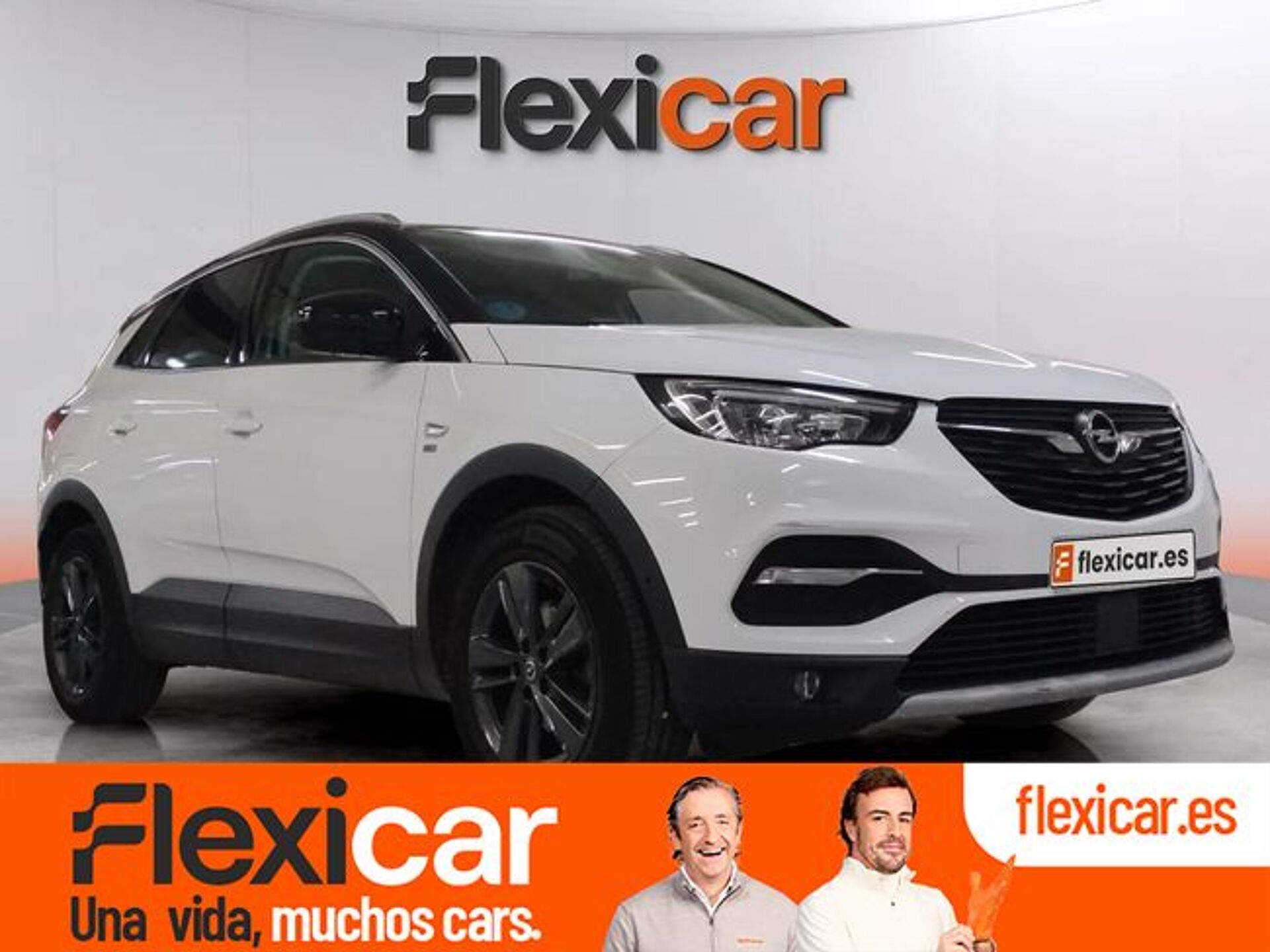 Imagen 1 de OPEL Grandland X
