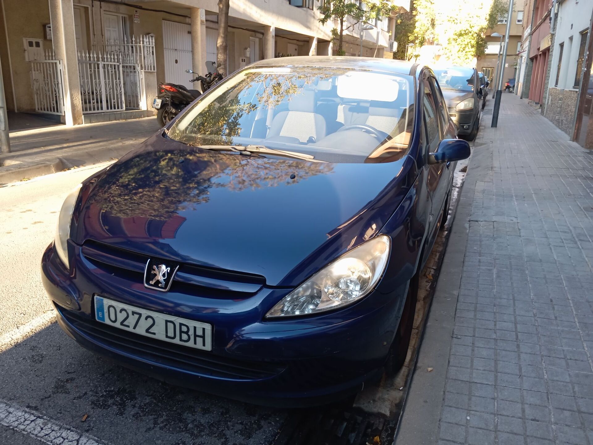 Imagen 1 de PEUGEOT 307