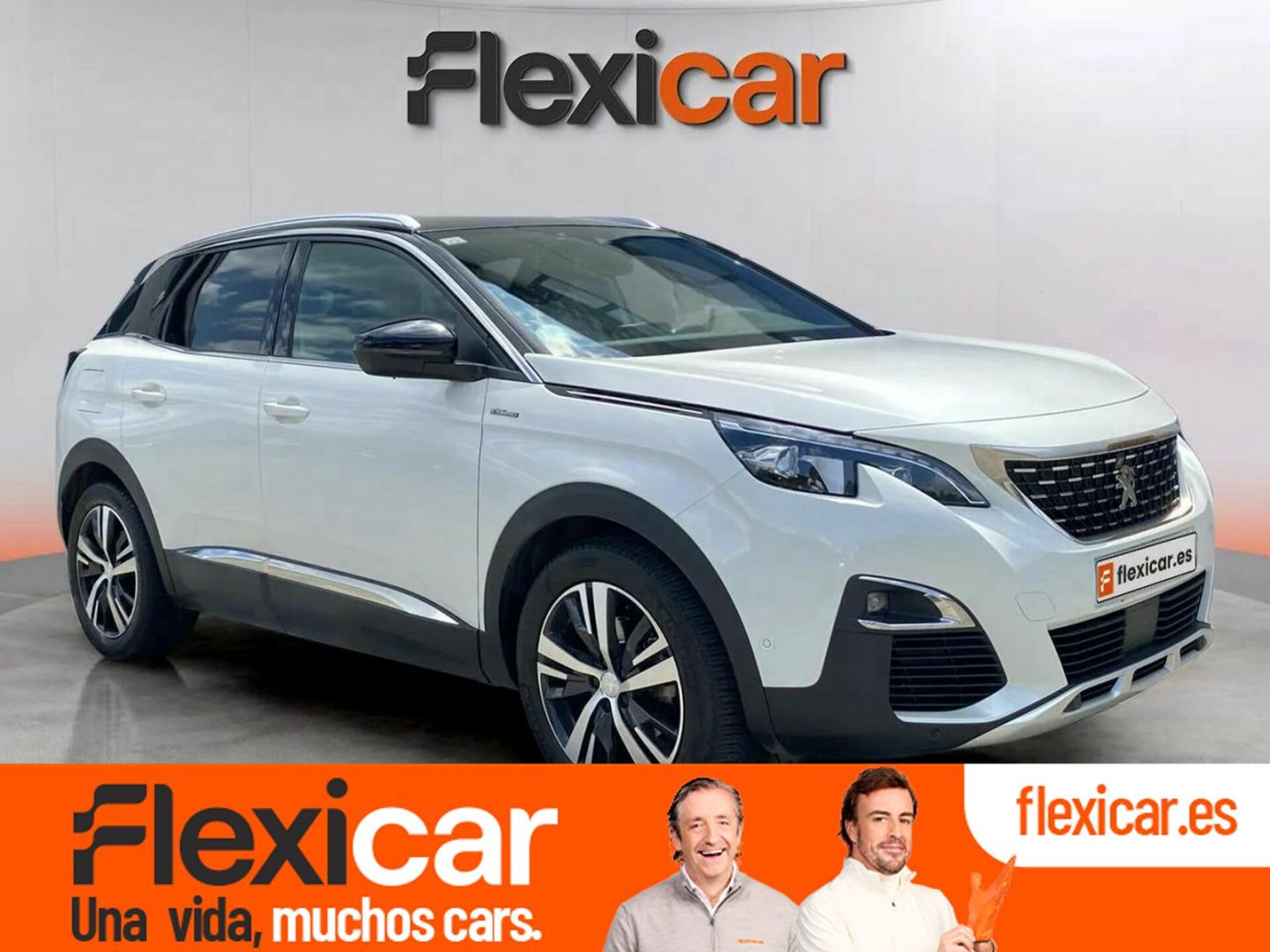 Imagen de PEUGEOT 3008