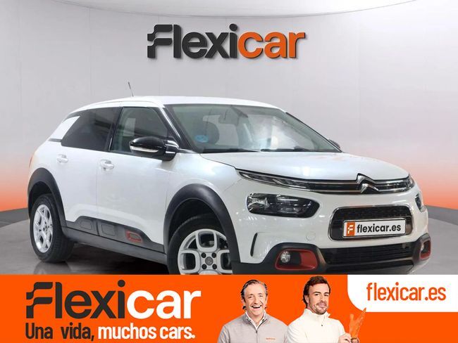 CITROEN C4 Cactus (PureTech 110 S&S Shine) en Guipúzcoa