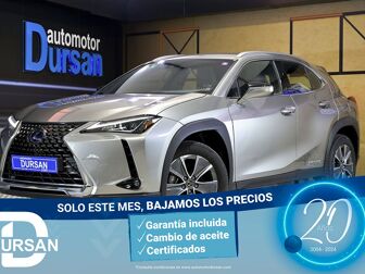 Imagen de LEXUS UX 300e Business