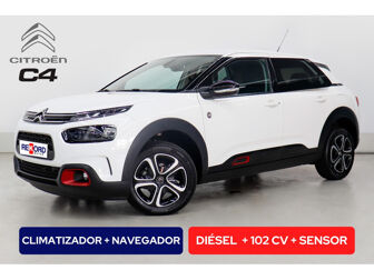 Imagen de CITROEN C4 Cactus 1.5BlueHDi S&S C-Series 100