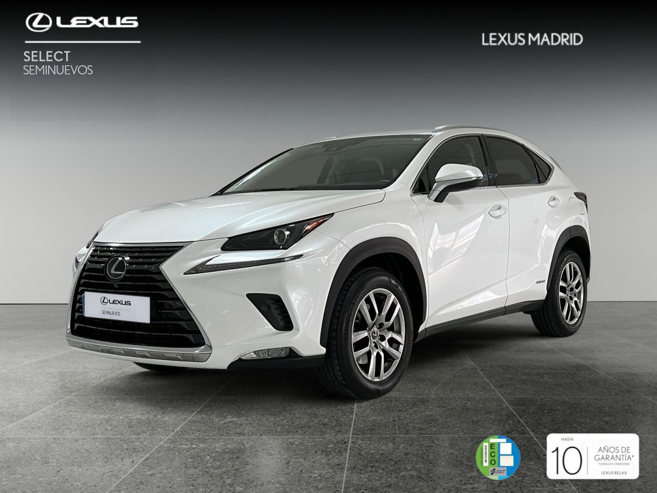 LEXUS NX (2.5 300h Executive Navigation 4WD) en Madrid