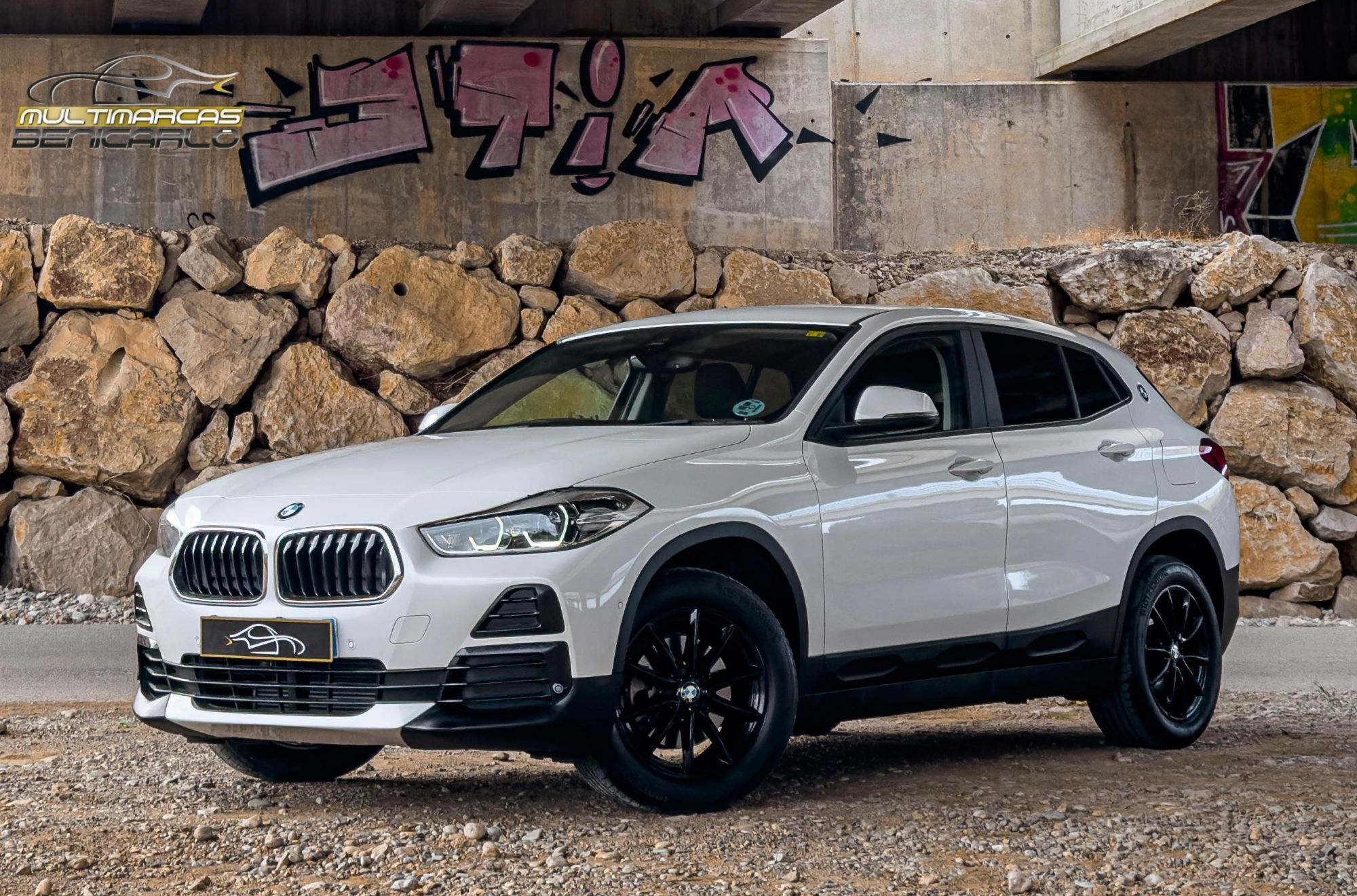 BMW X2 (sDrive 18iA) en Castellón